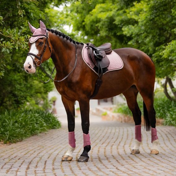 Podsedlová dečka LeMieux Suede Square Blossom Kolekce 2025