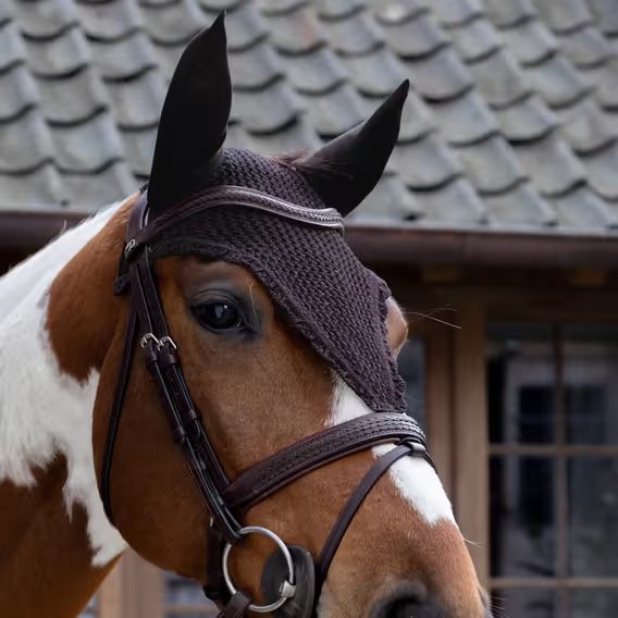 Čabraka na uši Kentucky Long