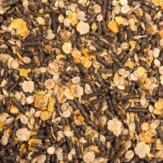 *EQS* Müsli SVALY+ bezovsové 20 kg