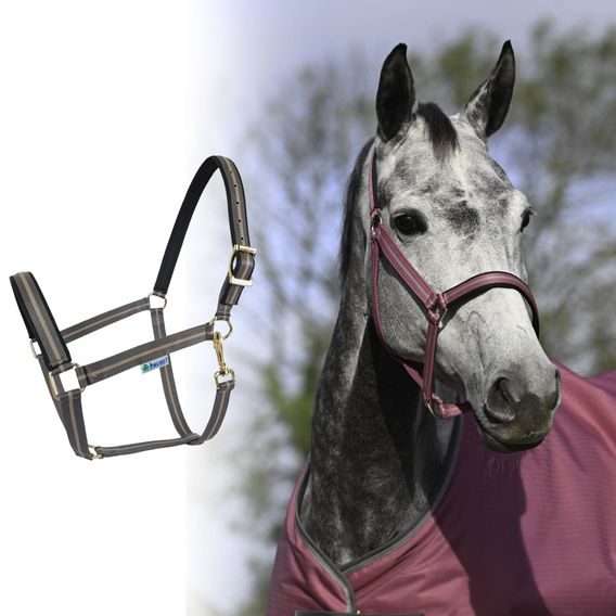 Ohlávka Bucas Dublin podložená Kolekce 2025/26