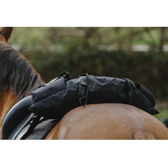 Brašna k sedlu Randol's Banane