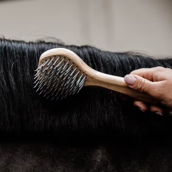 Kartáč rozčesávací Kentucky