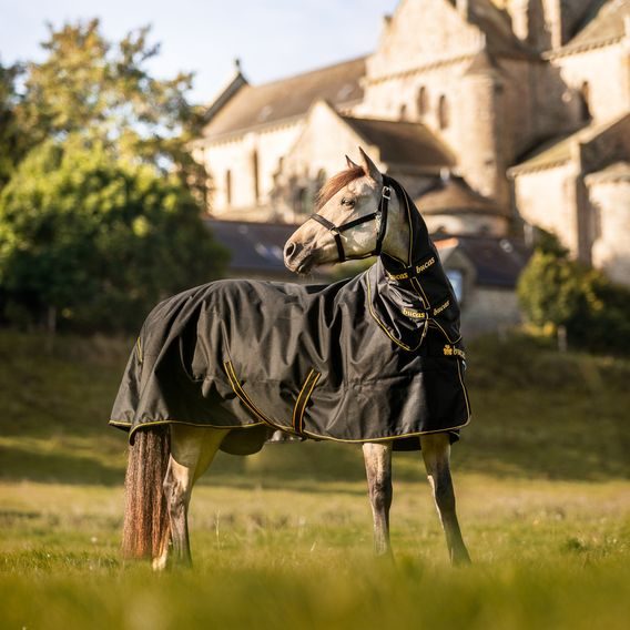 Krční díl Bucas Irish Turnout Combi 300g KOLEKCE