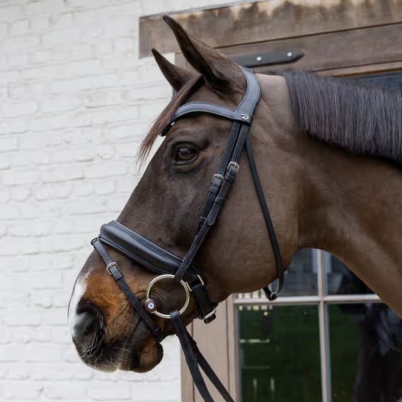 Stihlo nelomené Velari by Kentucky Flex 20mm Hard