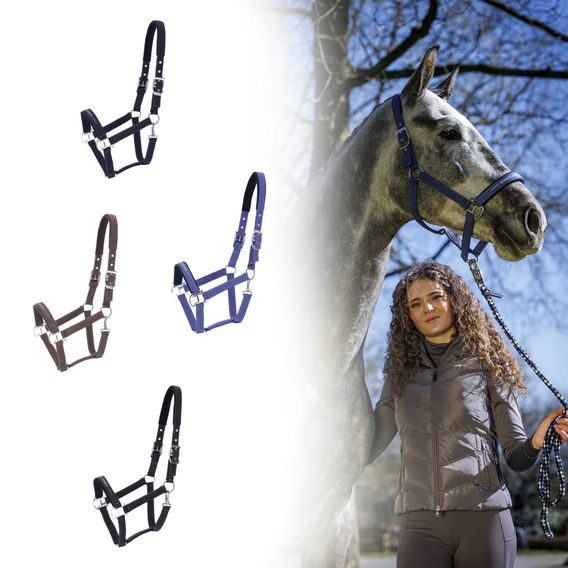 Ohlávka Schockemöhle Memphis III Kolekce 2025/26