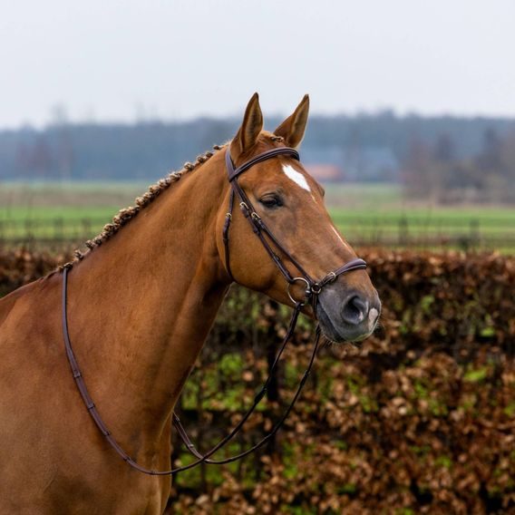 Uzdečka Trust Barcelona s hanoverským nánosníkem DOPRODEJ