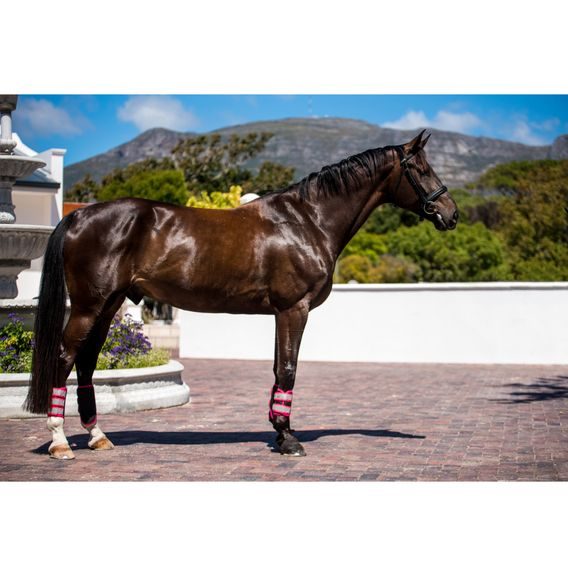 Kamaše Equilibrium Tri-zone Brushing