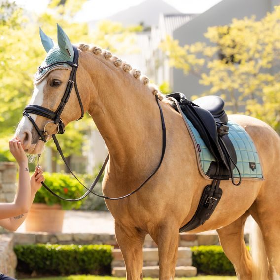 Podsedlová dečka LeMieux Loire Satin Aqua Kolekce 2025