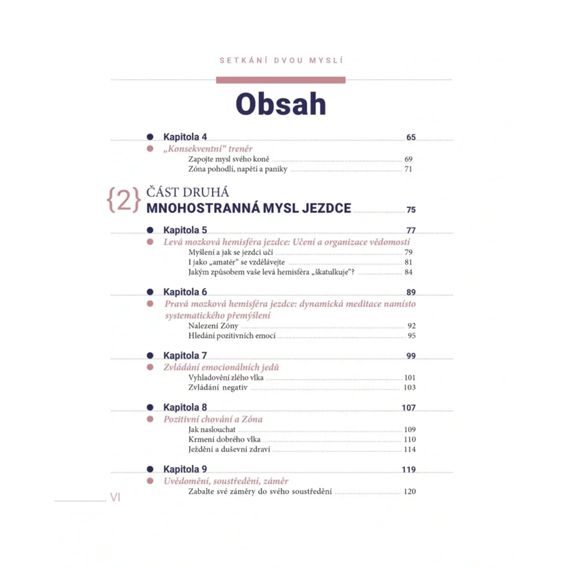 Publ Baumert Setkání dvou myslí