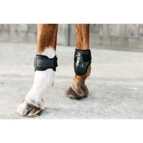 Strouhačky Kentucky Young 88201 NEW