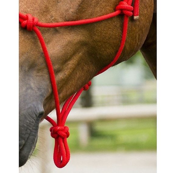 *W* Ohlávka provazová Norton First