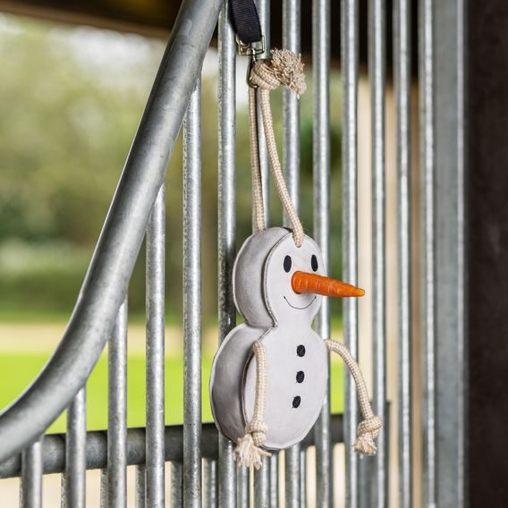 Hračka pro koně Lemieux DOPRODEJ