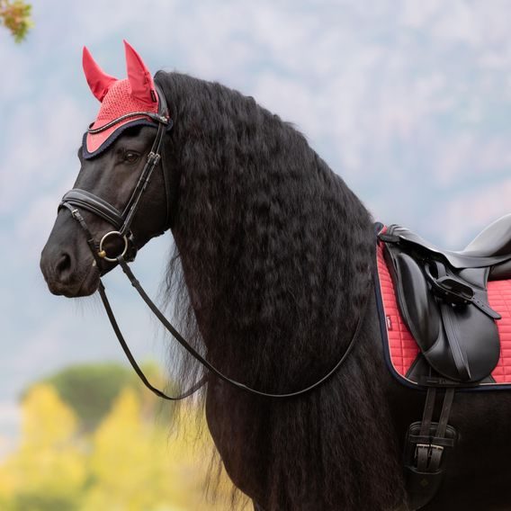 Čabraka na uši LeMieux Classic Cranberry Kolekce 2025/26