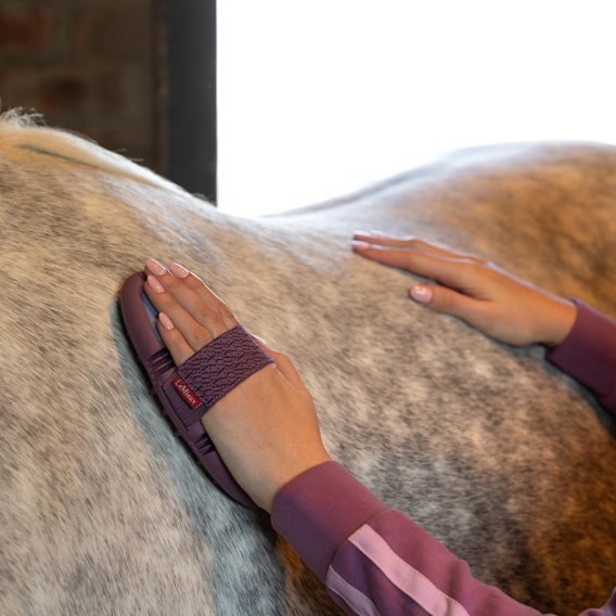 Hřbílko LeMieux masážní gumové Kolekce 2026