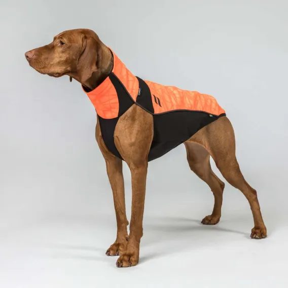 Deka na psa Back On Track BARK Visibility Suit