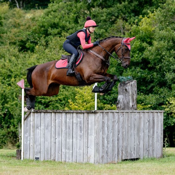 Podsedlová dečka LeMieux Suede Square Cranberry Kolekce 2025/26