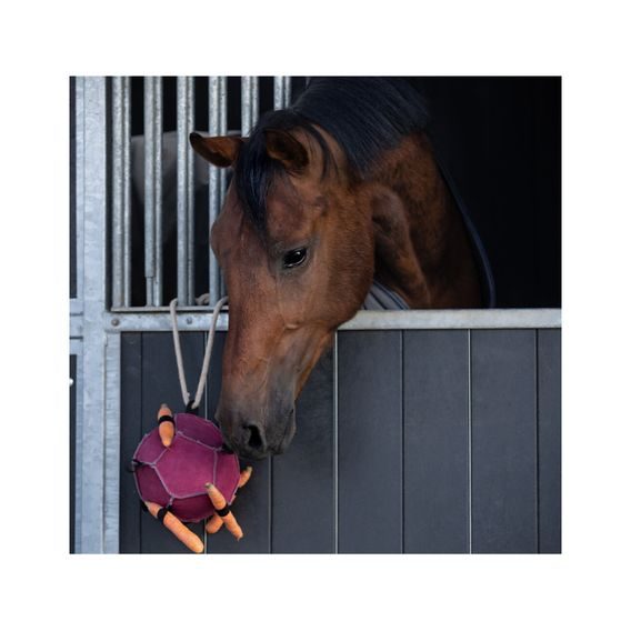 Hračka pro koně QHP Ball