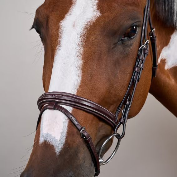 Uzdečka Dy'on Flash Noseband Bridle USAAAA