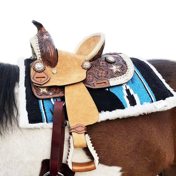 *W* Sedlo westernové Cassini Stars