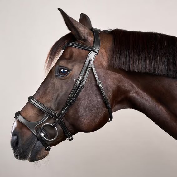 Uzdečka Dy'on Double Noseband Bridle NEAAAH