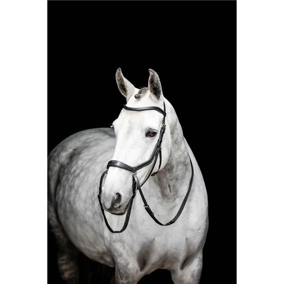 Uzdečka Horseware Micklem Bitless
