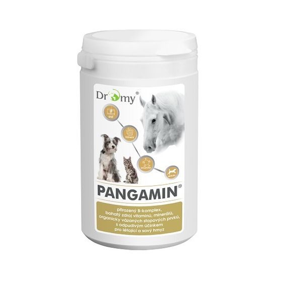 Dromy Pangamin® 2000 tbl.