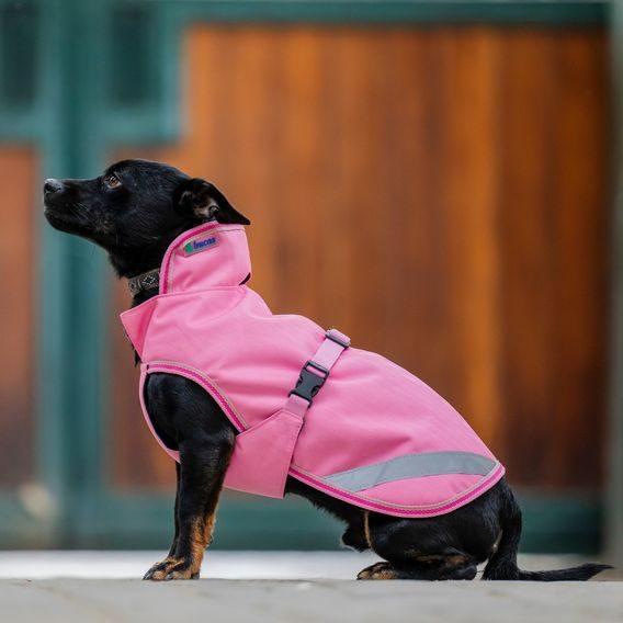 Deka na psa Bucas Freedom Kolekce 2026