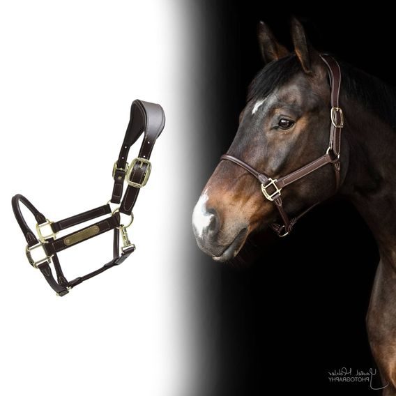 Ohlávka Kentucky Anatomic leather