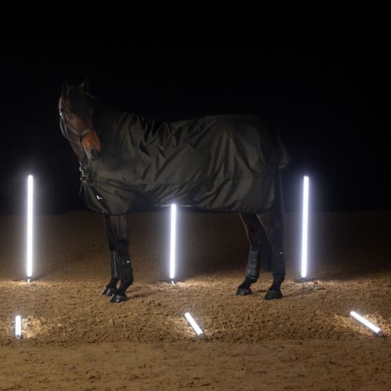 Deka výběhová Eskadron Dynamic Beta 150g Kolekce 2025/26