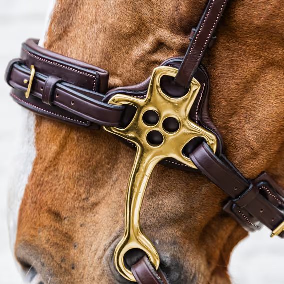 Speciální udidlo Hackamore Dy'on DY-14003