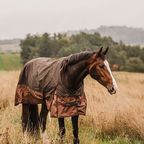 Deka výběhová Imperial PROFI *EQS* High Neck Fleece