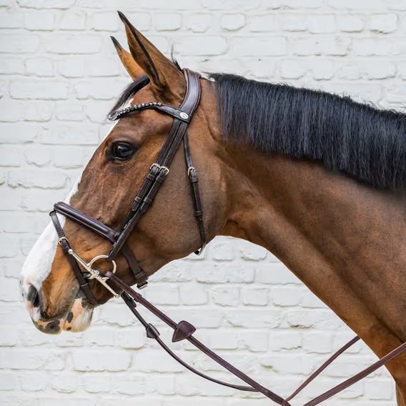 Uzdečka Dy'on Medium Flash Noseband Bridle Soft SO-10004