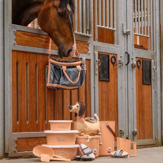 Hračka pro koně W pes Dieter