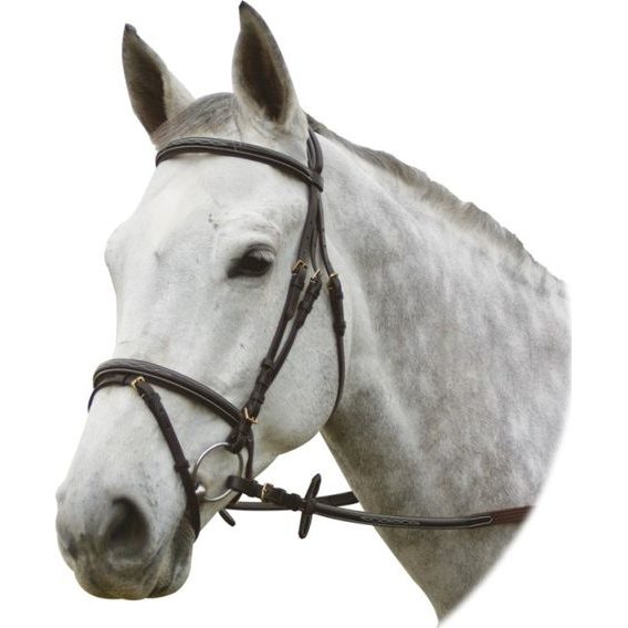 Uzdečka KenTaur s angl komb nános 10171 DOPRODEJ