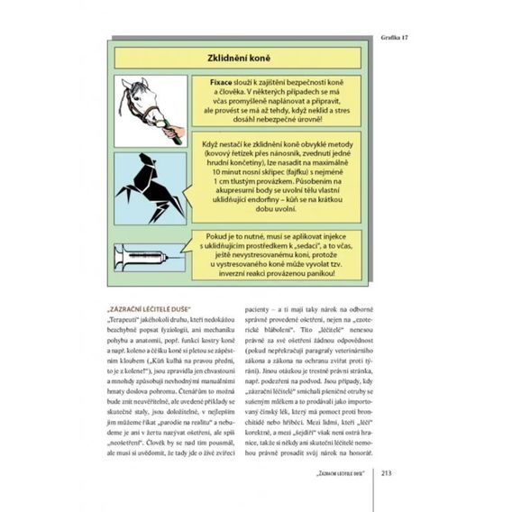 Publ Bender a Ritter Praktická příručka Zdraví koně DOPRODEJ