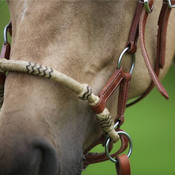 *W* Sidepull Cassini Knoted