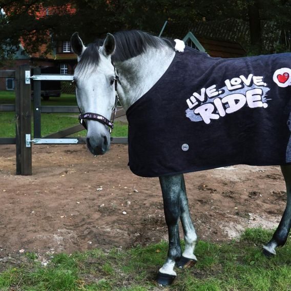 Ohlávka Equest Pummel Live Love Ride Kolekce 2024/25