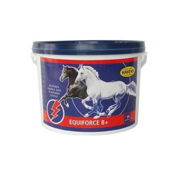Havens EquiForce B+ 1 kg EXPIRACE 12/2026