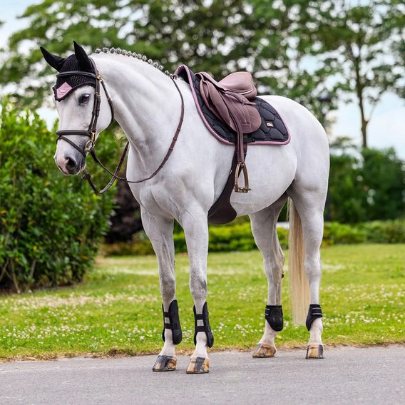 Podsedlová dečka Equestrina Stockholm Black Blush Kolekce 2026/27