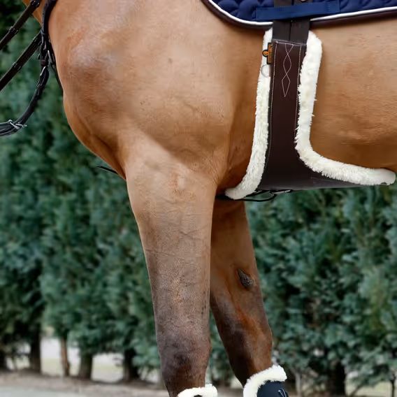 Ochranný protiokopávací podbřišník Kentucky 42402 s beránkem