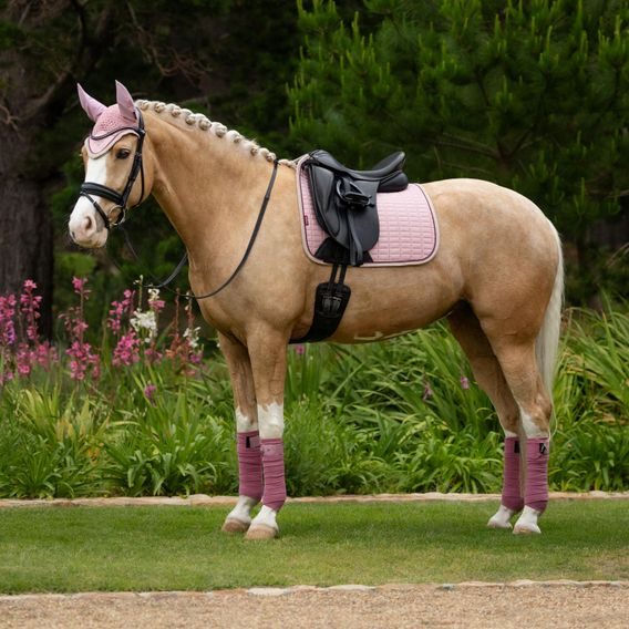 Podsedlová dečka LeMieux Suede Square Blossom Kolekce 2025