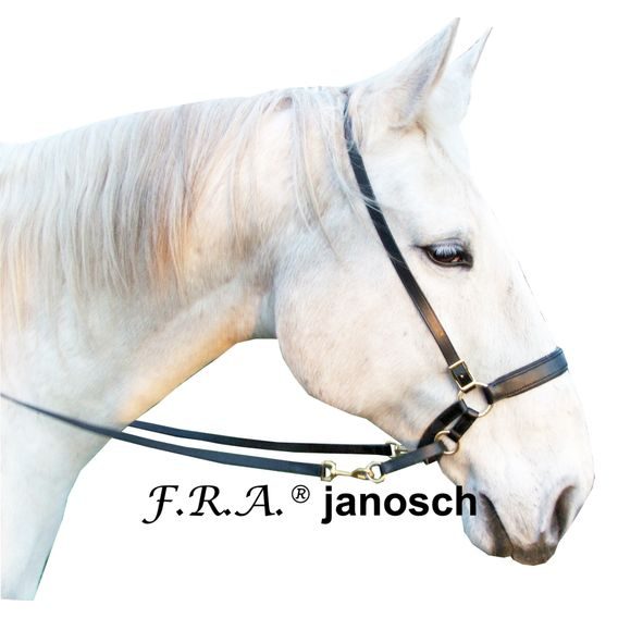 Bezudidlová uzdečka F.R.A. Janosh