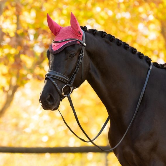 Čabraka na uši LeMieux Loire Satin Cranberry Kolekce 2025/26
