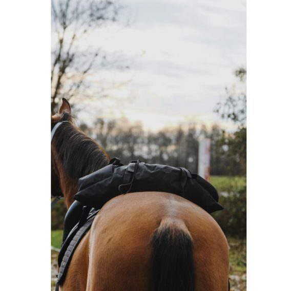 Brašna k sedlu Randol's Banane