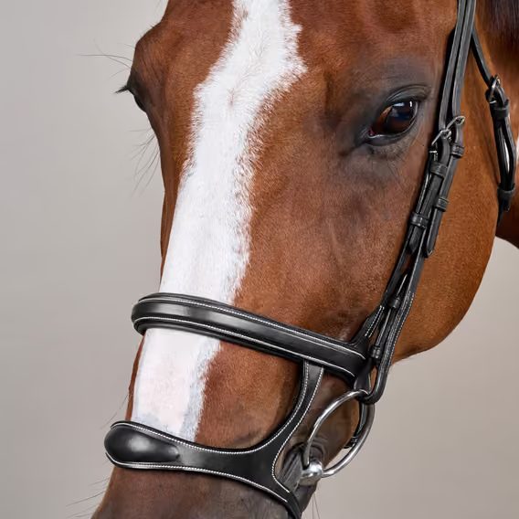 Uzdečka Dy'on Double Noseband USAAAH