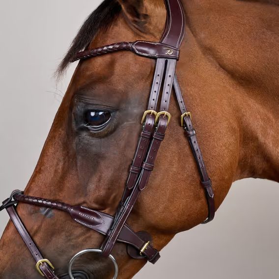 Uzdečka Dy'on Braided Flash Noseband DYARAY