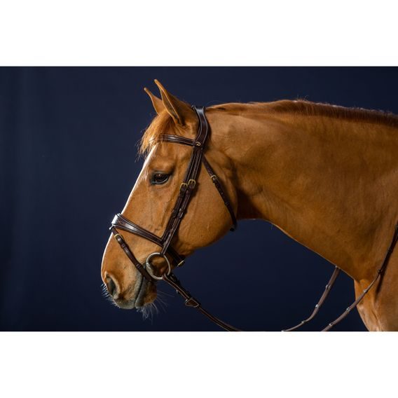 Uzdečka Dy'on Anatomic prošev DYABAB