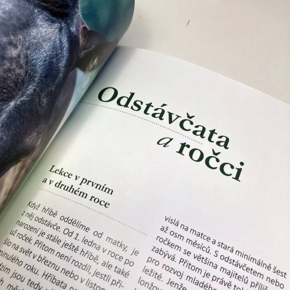 Publ Ettl Výchova hříběte - od narození do tří let