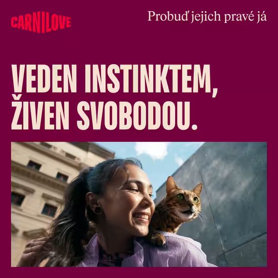 Carnilove Cat Freeze Dried 40g