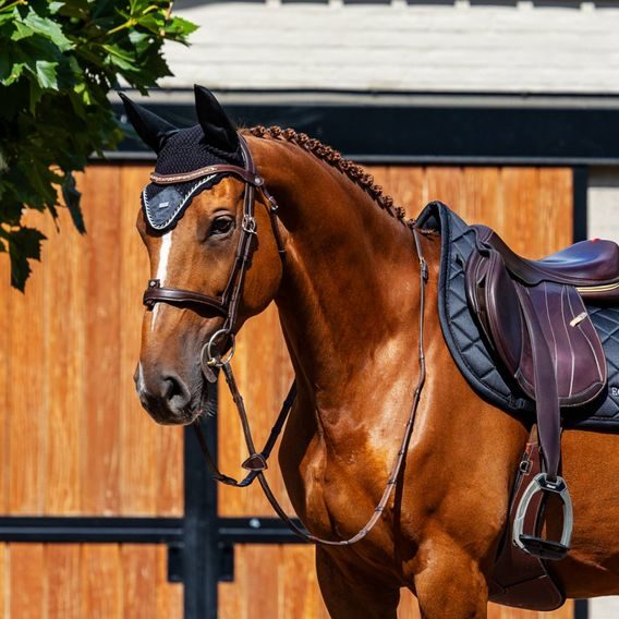 Čabraka na uši Equestrian Stockholm Line Black Kolekce 2026
